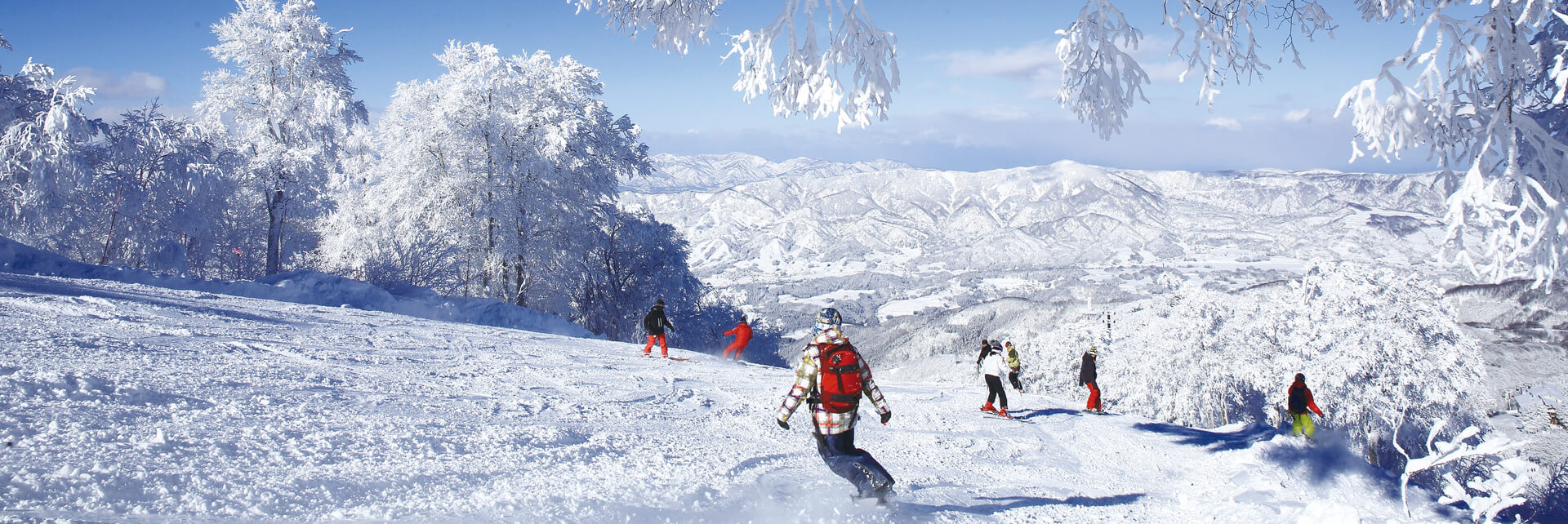 Nozawa Onsen Ski Resorts and Information